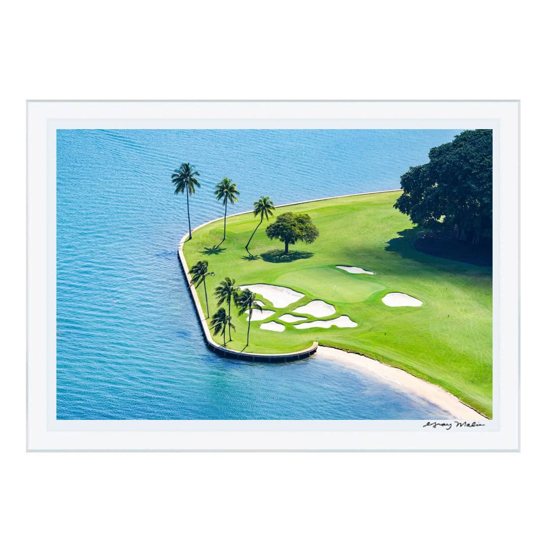 Aerial view of coastal golf course with palm trees