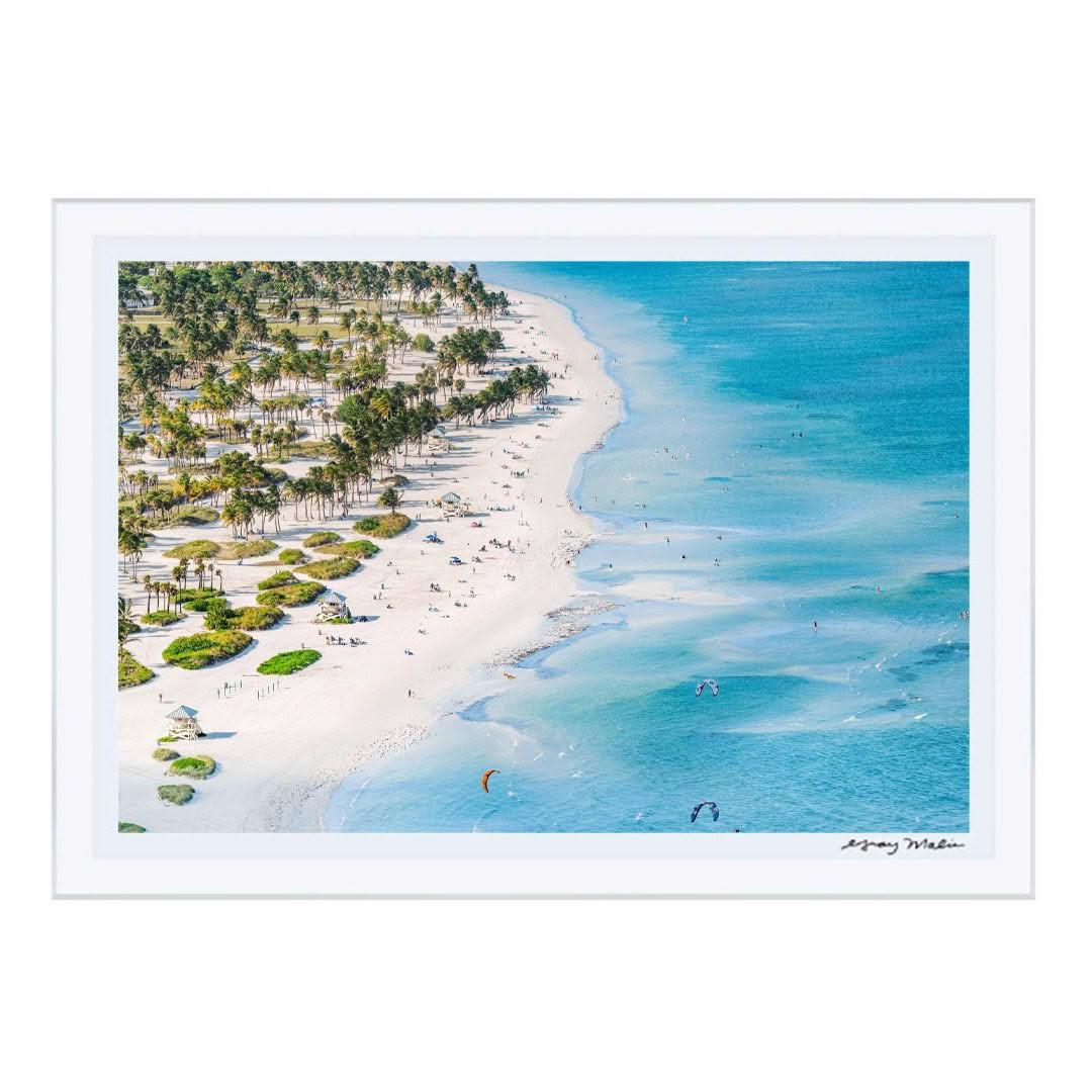 Aerial view of tropical beach with palm trees