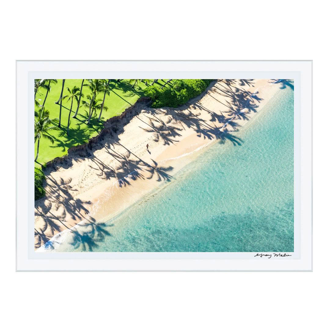 Aerial view of sandy beach with palm trees