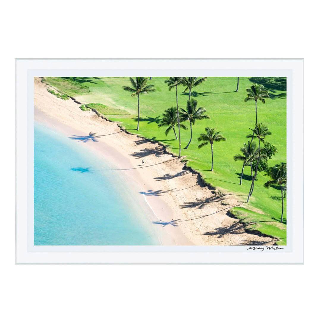 Aerial view of sandy beach with palm trees and shadows