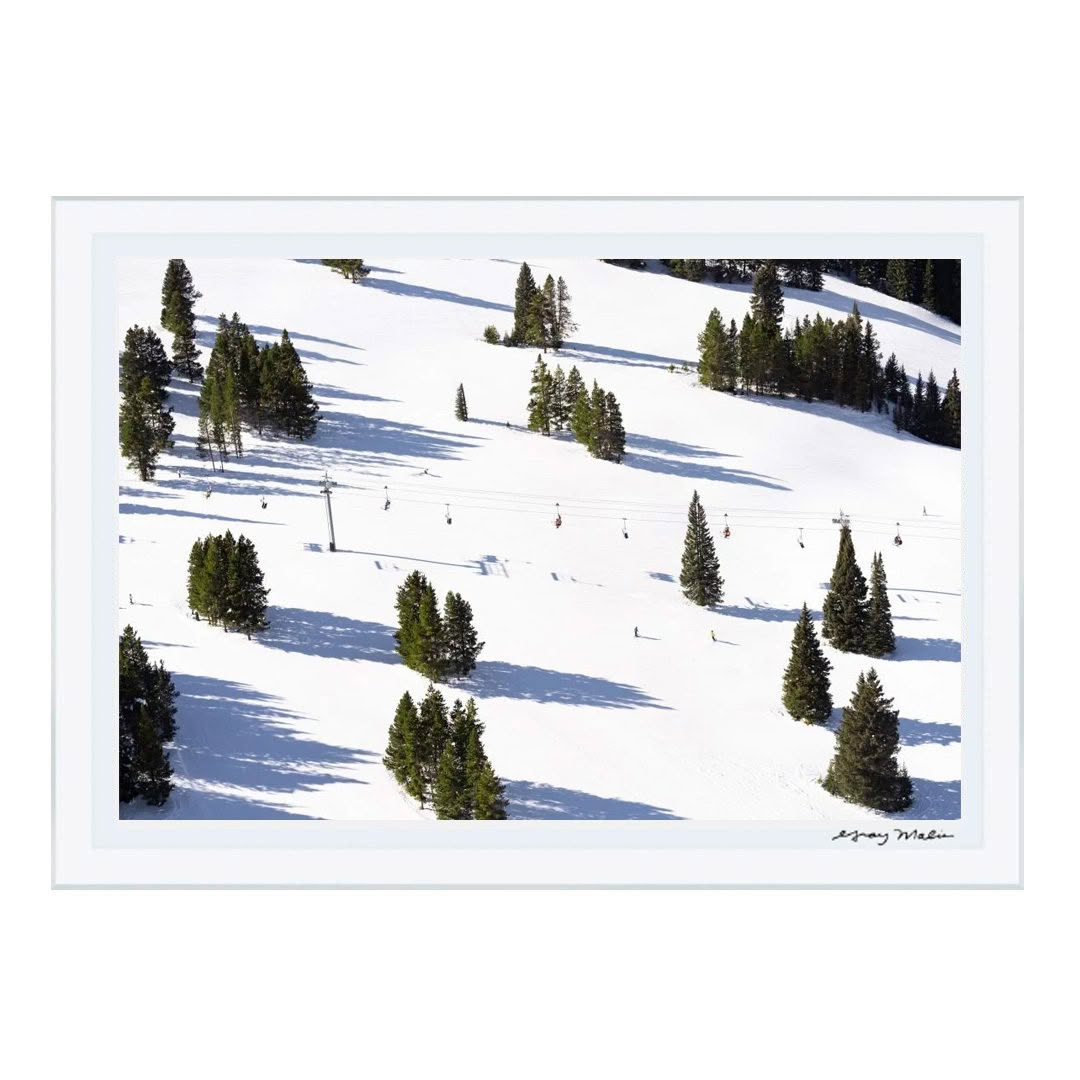 Skiers on snow-covered slope with pine trees