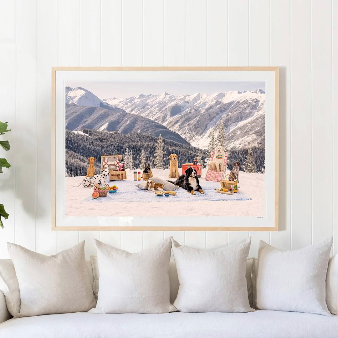 Dogs enjoying picnic in snowy mountain landscape