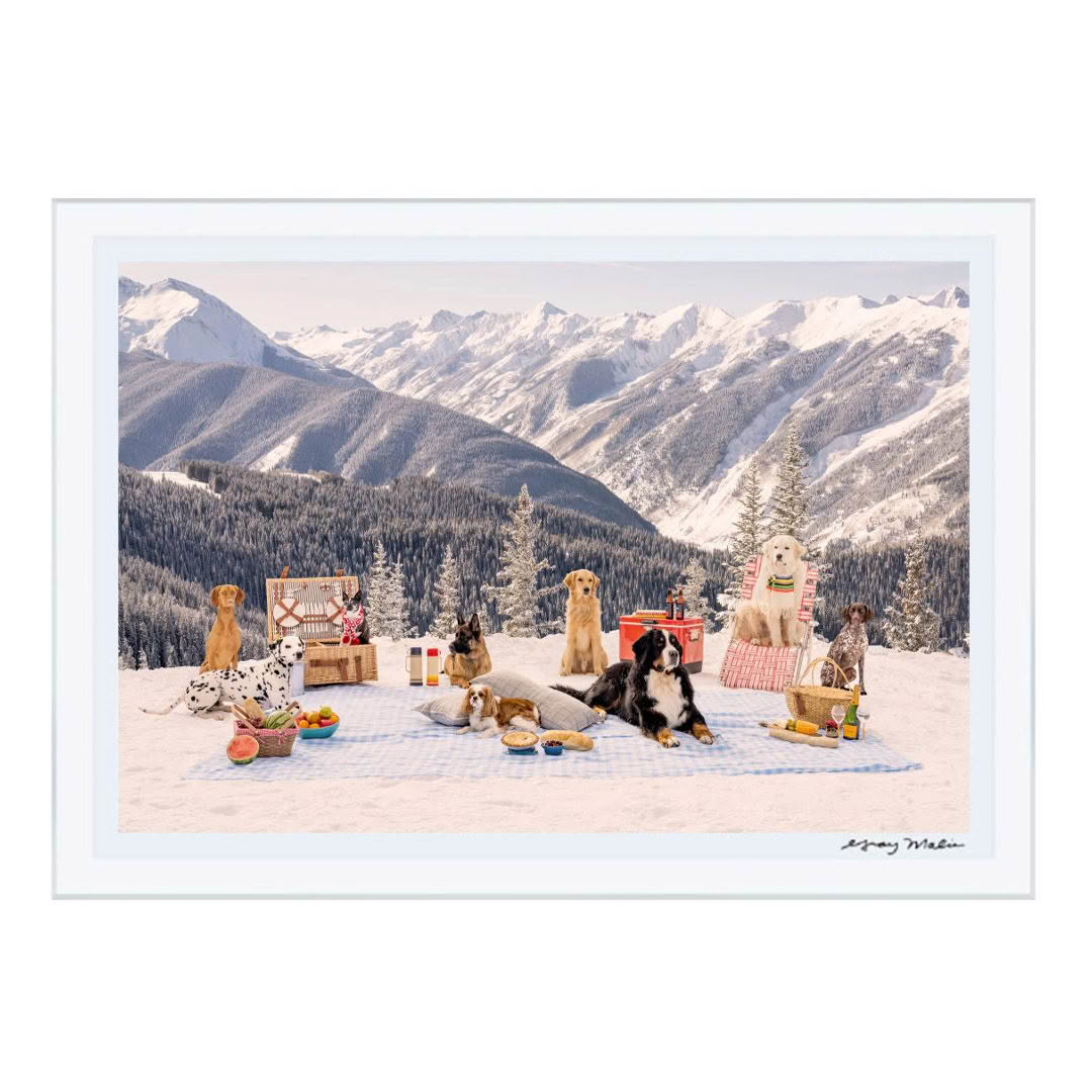 Dogs enjoying a picnic in snowy mountain landscape