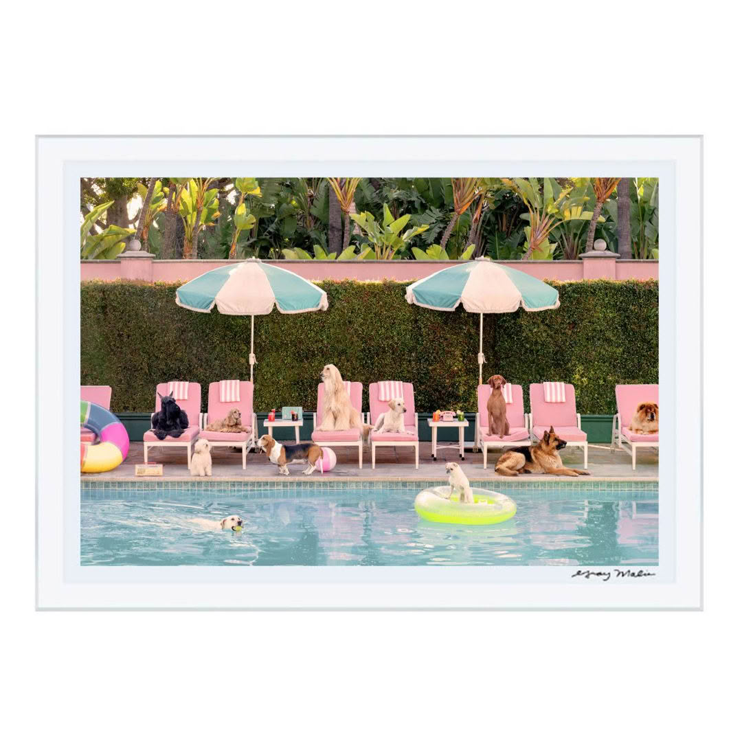 Dogs relaxing by pool with umbrellas and lounge chairs