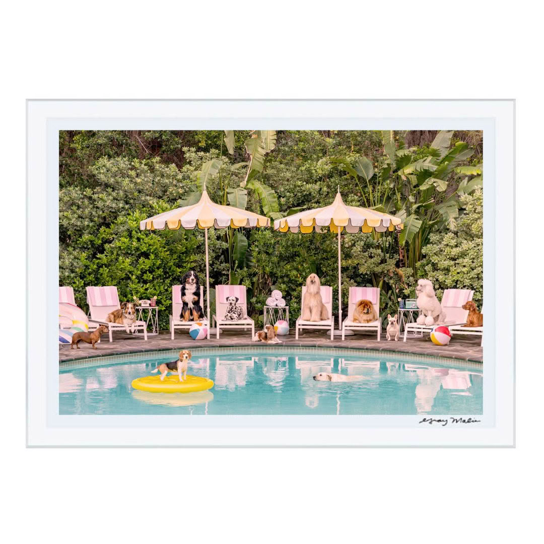 Dogs lounging by pool with umbrellas and beach chairs
