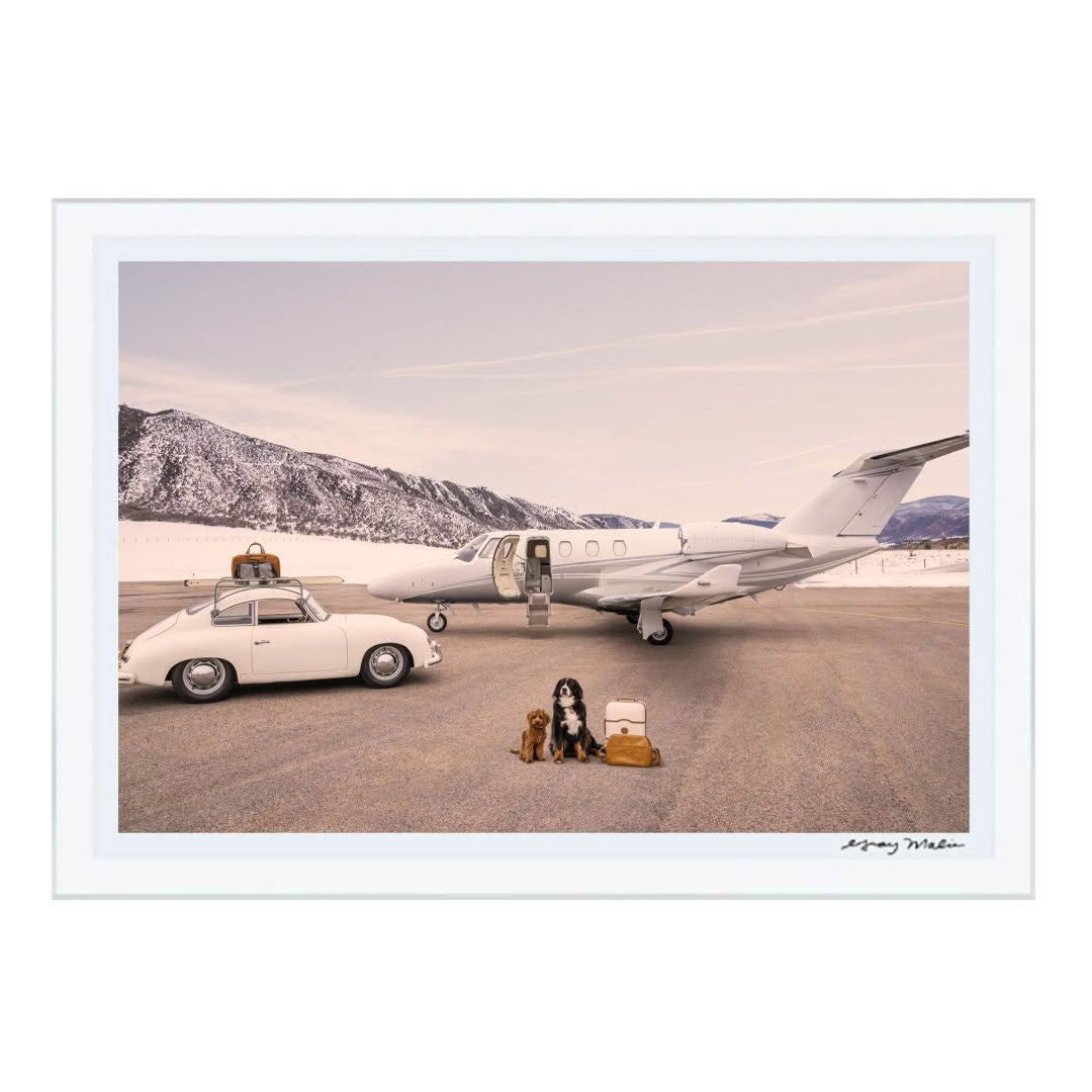 Vintage car, jet, and dogs on snowy runway