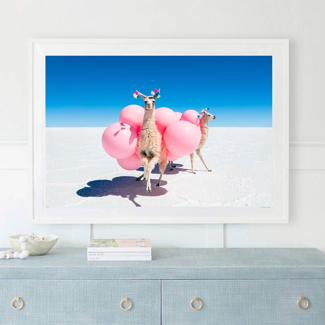 Llamas with balloons in a salt flat