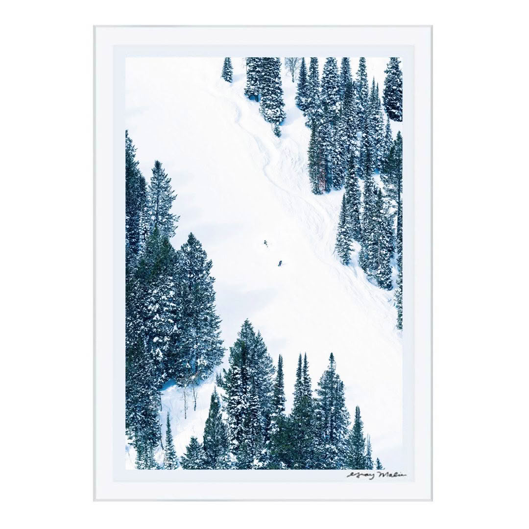 Skiers descending snowy mountain trail among tall pines