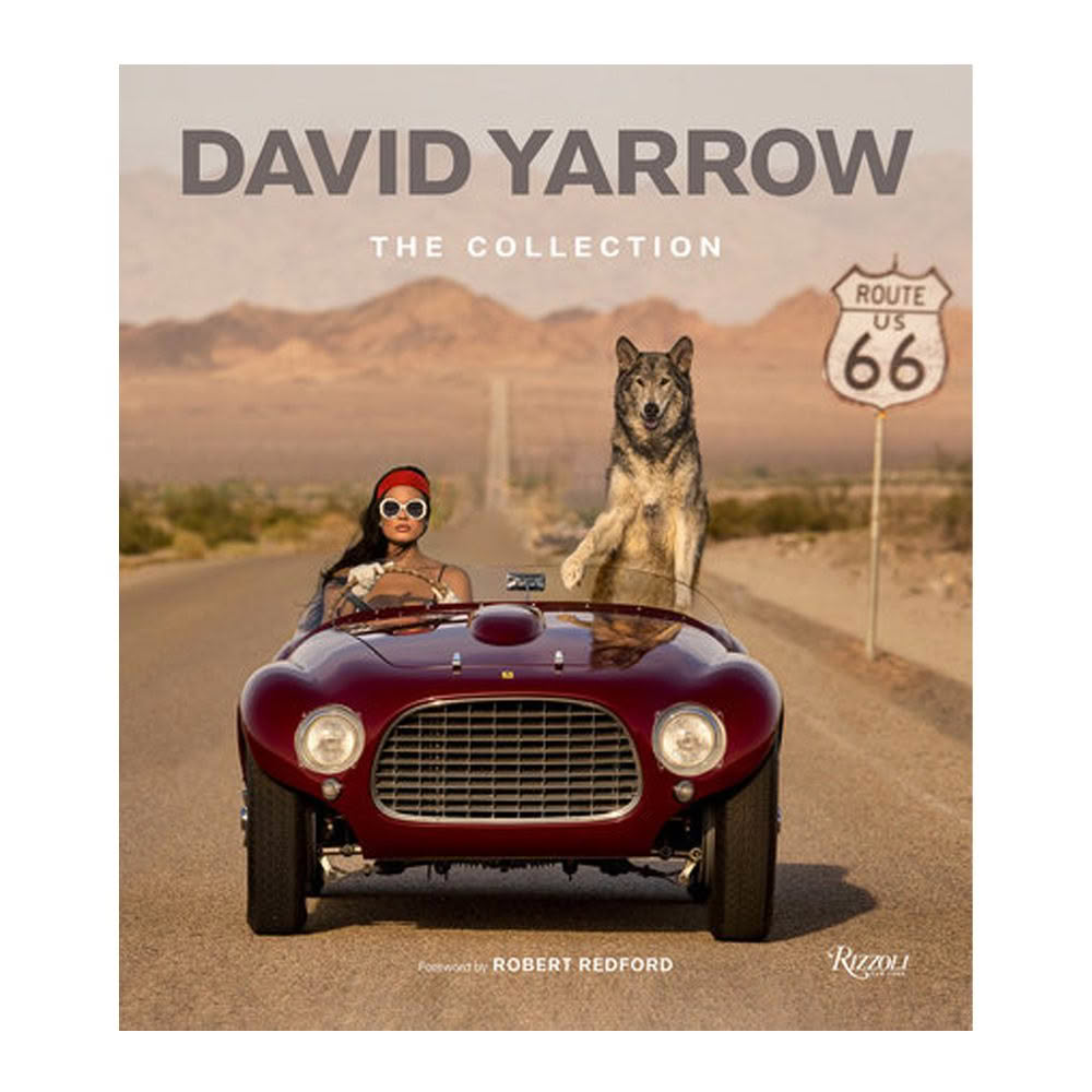Book cover with woman and wolf in classic car on Route 66