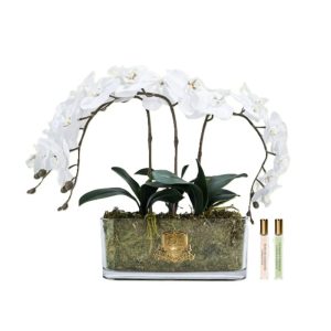 ORCHID IN OVAL GLASS - WHITE & GOLD BADGE - COTE NOIRE