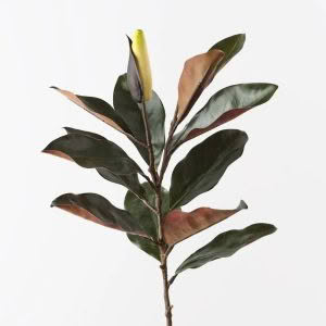 MAGNOLIA BUD LEAF SPRAY - 86cm L - CREAM GREEN