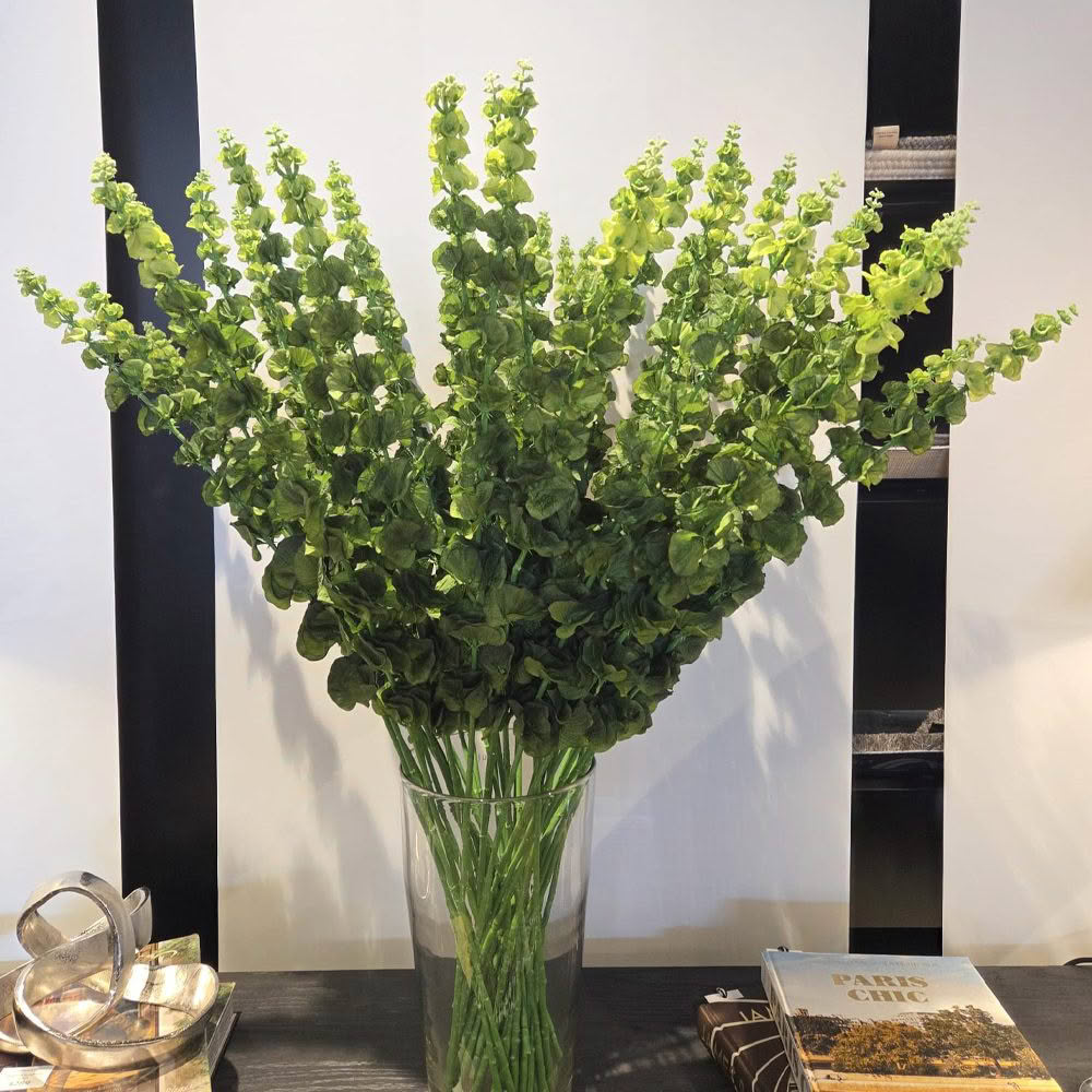 Bunch of green bupleurum flowers in glass vase