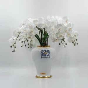IMPERIAL WHITE ORCHID ARRANGEMENT - COTE NOIRE