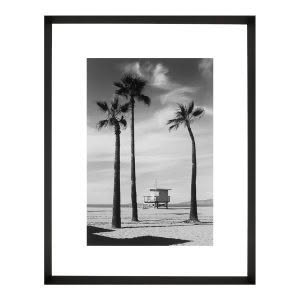 PALMTREES PRINT - MAN003 - BLACK FRAME