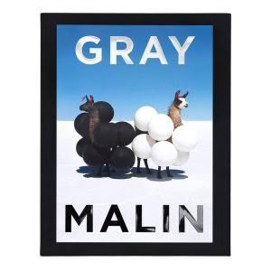 GRAY MALIN - THE ESSENTIAL COLLECTION BOOK