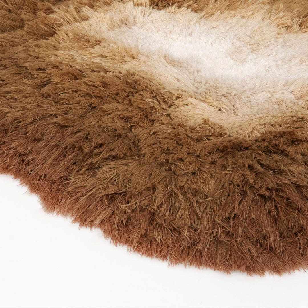 Showtime_Cloud_Camel